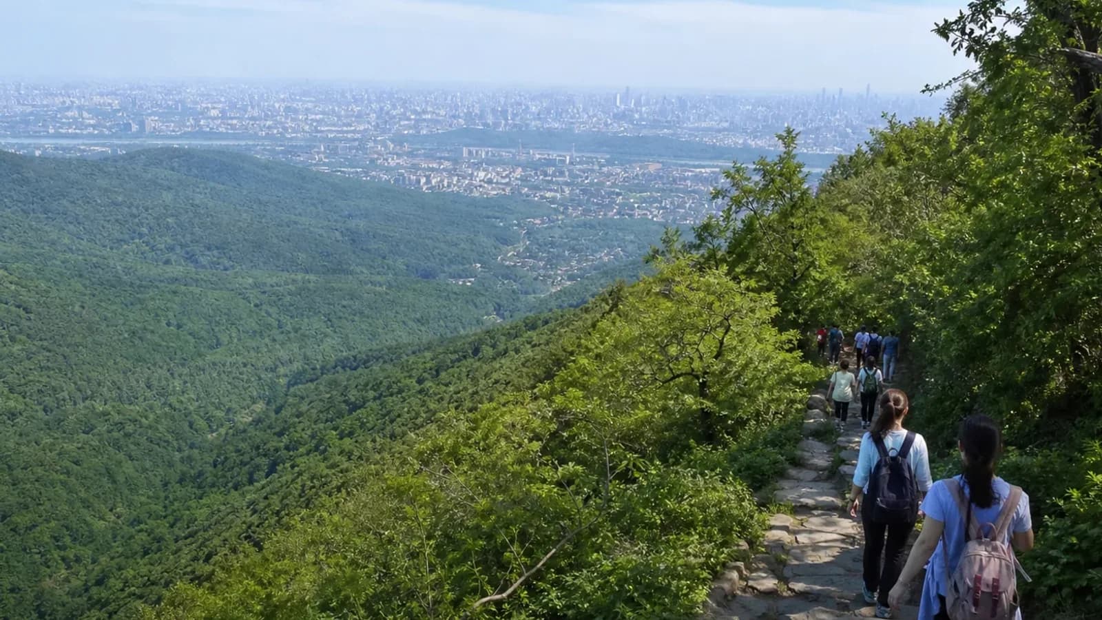Hikers on Purple Mountain approach