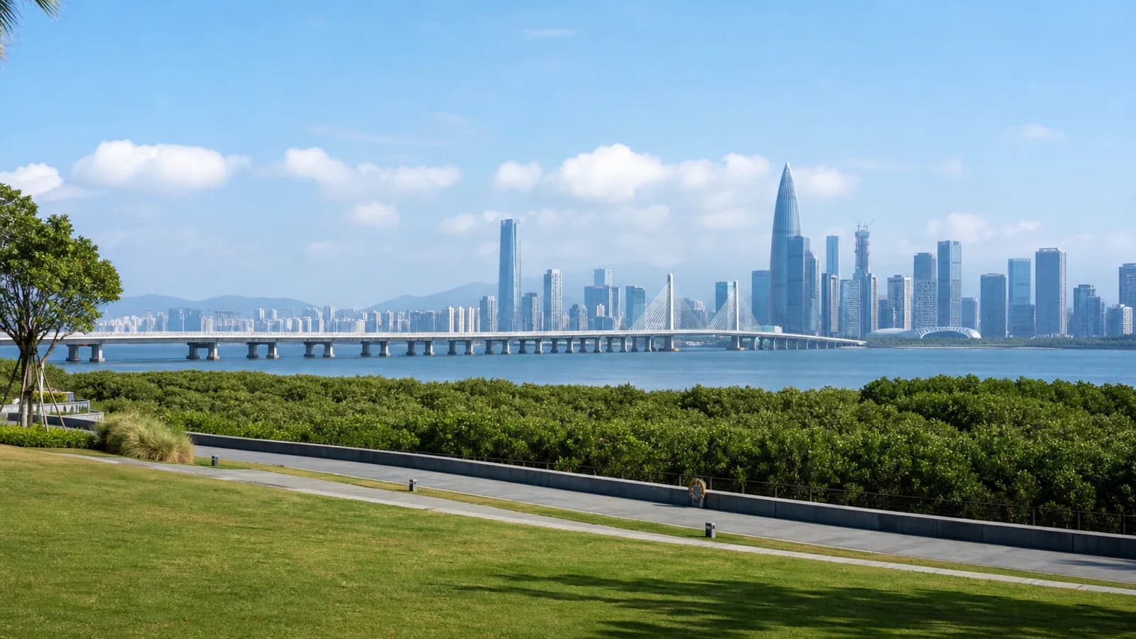 Shenzhen Bay in Shenzhen
