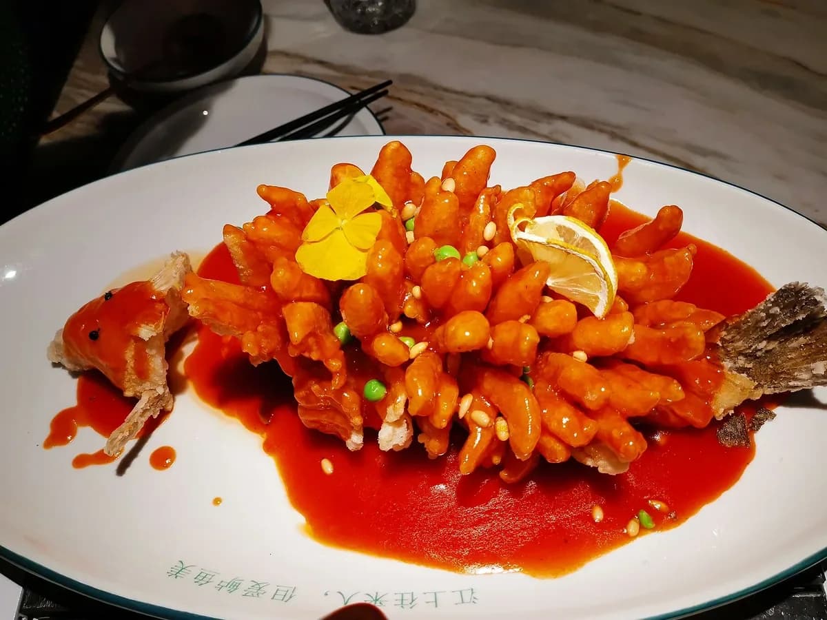 Golden lion fish in Shijiazhuang